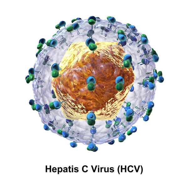 Por que não existe vacina contra a Hepatite C?