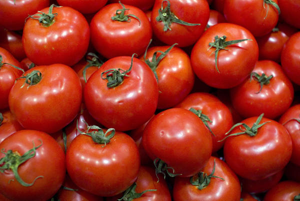 Os tomates cortados ao meio, o câncer de pele